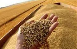 نبحث تقديم حوافز إضافية..«الزراعة»: زيادة سعر توريد أردب القمح 100 جنيهًا