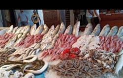 تباين في أسعار الأسماك بأسواق الجملة اليوم الإثنين 14 مارس 2022