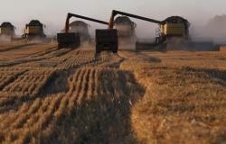 الحرب في أوكرانيا تعيد رسم خارطة توزيع القمح والجوع في العالم
