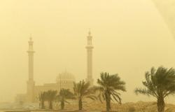 مستشفيات الرياض تستقبل 1369 حالة تنفسية طارئة بسبب الغبار - #عاجل
