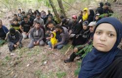 العثور على عشرات السوريين في جزيرة مهجورة