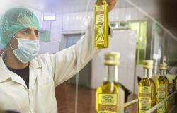 "الجوف" تتوقع بدء الإنتاج التجريبي لمصنع شرائح البطاطس بالربع الثالث 2023