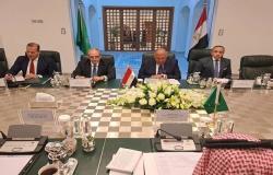 مصر والسعودية تؤكدان أهمية استمرار التنسيق لمواجهة تحديات المنطقة