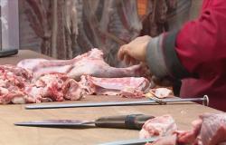 الأزمة في السودان "غير مؤثرة" على سوق اللحوم في الأردن