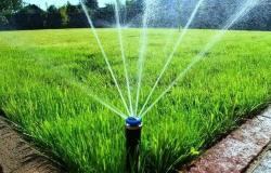 "البيئة" تحدد أنجح أنظمة الري الموفّرة للمياه في الزراعة المنزلية