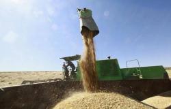 3 دول تفرض حظراً على محاصيل أوكرانيا