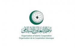 التعاون الإسلامي تُعرب عن أسفها لإخفاق مجلس الأمن في تبني قرار بشأن غزة