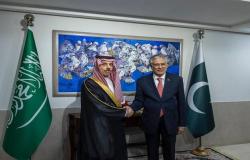 وزير الخارجية يبحث جهود وقف إطلاق النار في غزة مع نظيره الباكستاني