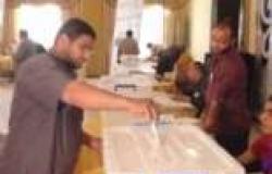 المعهد المصري الديمقراطي: لم نرصد أي تأثير على الناخبين في انتخابات "الدستور"