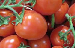 دراسة: الطماطم تخفف الضغط على المثانة عند مرضى تضخم البروستاتا