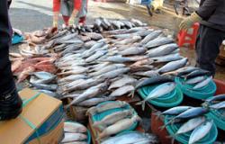 كفر الشيخ: ارتفاع بأسعار الأسماك لغلق "بورصة الأسماك" وتلف مئات الأطنان