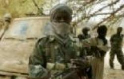جهود لإطلاق سراح 42 مختطفا في شرق دارفور