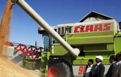 تجار: السعودية تطرح مناقصة لشراء 660 ألف طن من القمح الصلد