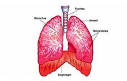 الكشف عن سرطان الرئة من خلال هواء الزفير الخاص بالمريض