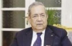 مساعد وزير الخارجية الأسبق: مصر أغنى اقتصاد إفريقي والثالث عربيا
