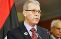 وزير الاقتصاد الليبي: تأسيس منطقة اقتصادية حرة مع مصر