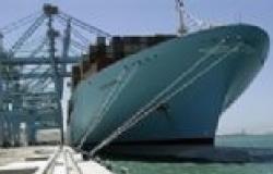 ميناء دمياط يستقبل 27200 طن قمح و5 آلاف طن زيت
