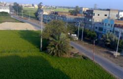 الفاو: التصحر يهدد الحزام الأخضر والرقعة الزراعية فى مصر