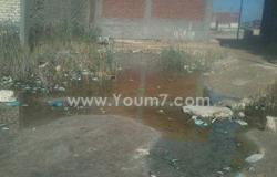 بالصور.. مياه الصرف الصحى تغرق منازل أهالى قرية أبيس بالإسكندرية