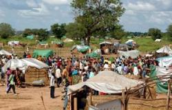 مفوضية اللاجئين بالسودان:عودة 80 ألف نازح إلى قراهم الأصلية شمال دارفور