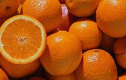 أخصائى سمنة: "تناول البرتقال يقلل فرص الإصابة بالأورام السرطانية"