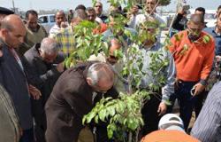 بالفيديو.. محافظ كفر الشيخ يزرع أول شجرة ضمن مشروع المليون شجرة بالمحافظة