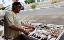 بالصور.. سوق السمك بالإسماعيلية يشهد ارتفاعا فى الأسعار