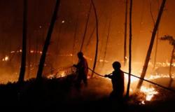 الحرائق تحاصر سكان جبال الأطلس البليدى فى الجزائر