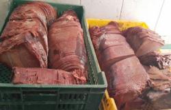 حبس صاحب مصنع أغذية 4 أيام لاتهامه بالاتجار فى اللحوم الفاسدة بالساحل