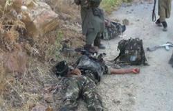 الجيش الجزائرى يقتل إرهابيا ثالثا فى "سكيكدة"