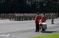 بالصور.. مراسم ترقية خروف بالجيش البريطانى من عريف لرتبة رقيب