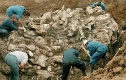 العثور على مقبرة جماعية تضم رفات 120 عراقيا شمال غرب الموصل