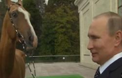 بالفيديو... ملك البحرين يهدى بوتين سيف النصر والرئيس الروسى يرد بحصان أصيل