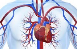 المصابات بالتهاب بطانة الرحم أكثر عرضة لأمراض القلب والذبحة الصدرية