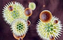 7 أمراض فيروسية وبكتيرية تنتقل بالقبلات.. تعرف عليها لتحمى نفسك