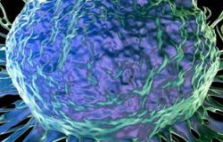 علماء يطورون بكتيريا السالمونيلا لعلاج الأورام السرطانية دون آثار جانبية