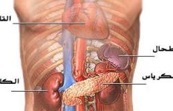 5 علاجات طبيعية للبنكرياس.. أبرزها الثوم والبروكلى
