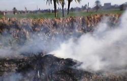 تحرير 50 محضرًا بيئيًا وحرق داخل الأراضى الزراعية بقرية المدمر فى سوهاج