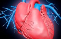 دراسة: الماغنيسيوم البحرى يقى من أمراض القلب