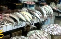 إنخفاض أسعار الأسماك بجميع أنواعها فى تعاملات اليوم السبت 21 يناير فى سوق العبور